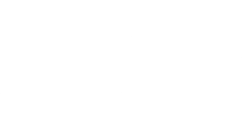 Fan Service