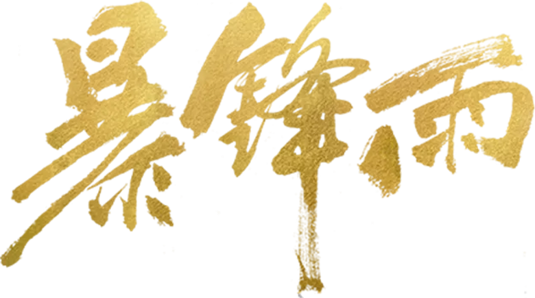 暴锋雨 logo