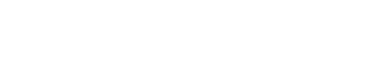 The Consultant logo