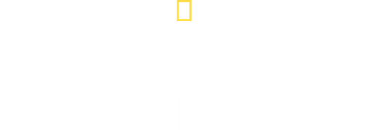 Ultimate Tutankhamun