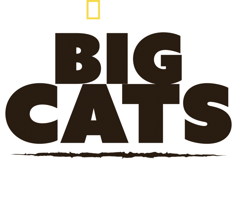 Dinastia Felina logo