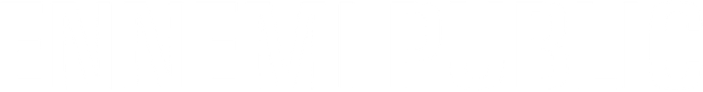 Public Enemy logo