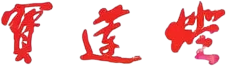 宝莲灯 logo