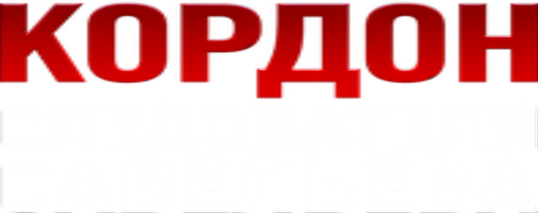 Кордон следователя Савельева logo