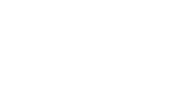 Brice 3 logo