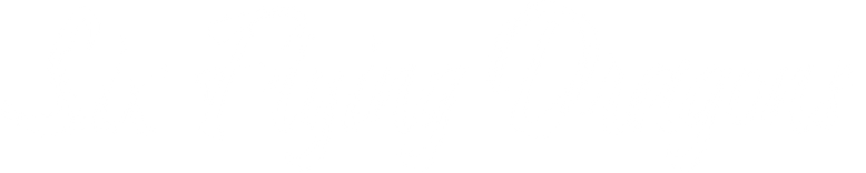 六龍が飛ぶ logo