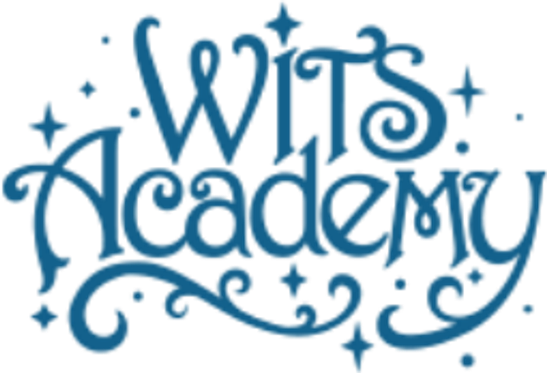 WITS Academy logo
