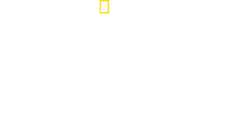 Deadly Instincts