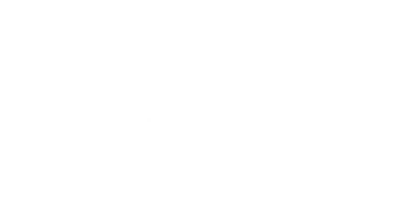 伪装者 logo