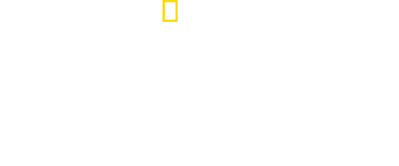 Hitler's Last Year