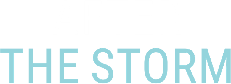 After the Storm logo