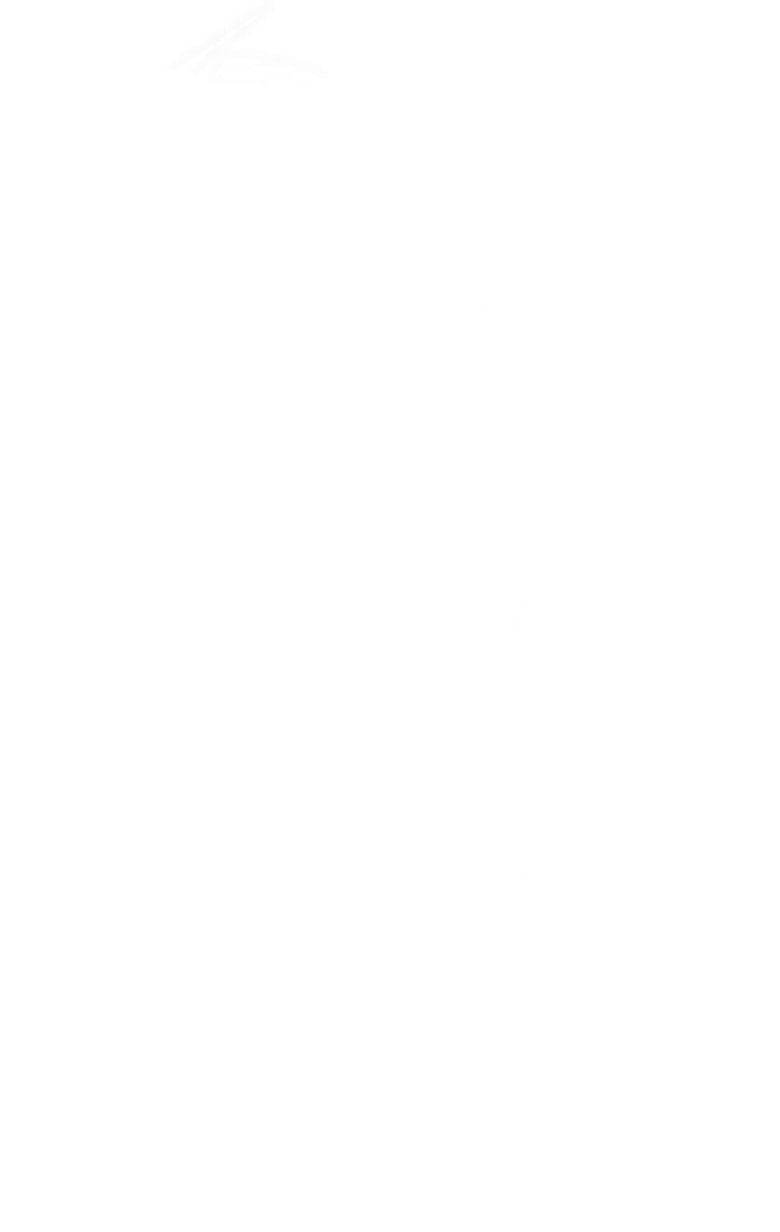 The Awl logo