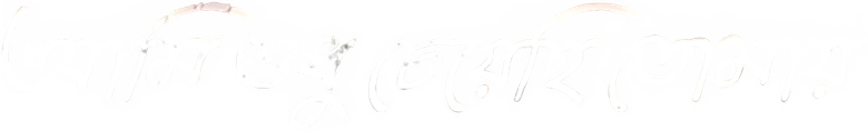 আমি শুধু চেয়েছি তোমায় logo
