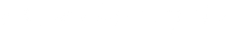 My Son-In-Law's Woman logo