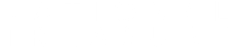 National Treasure logo