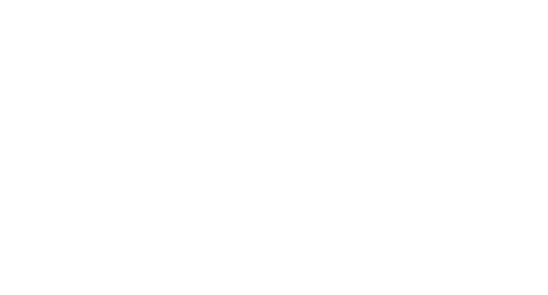 Chinese Paladin 3 logo