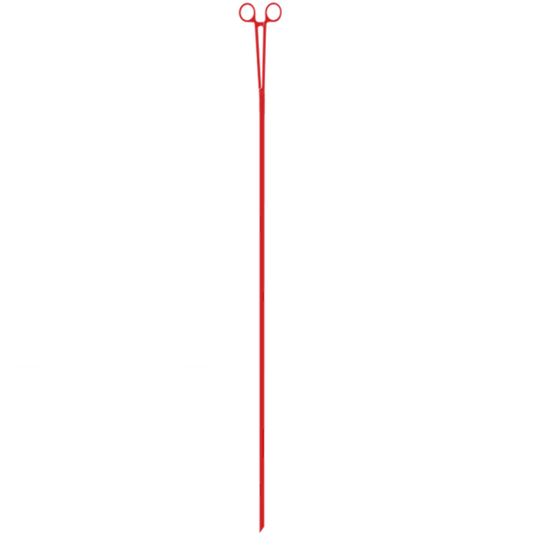 Sin senos sí hay paraíso logo