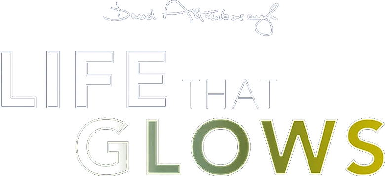 Attenborough's Life That Glows logo