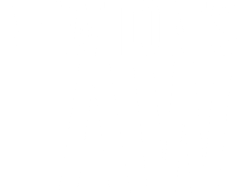 Newton's Law logo