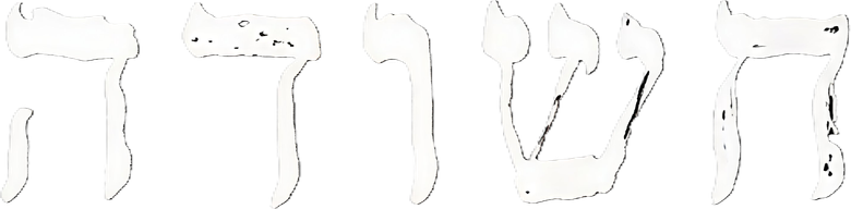 חשודה logo