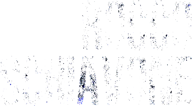 Rocco logo