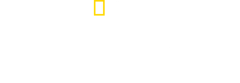 Continent 7: Antarctica