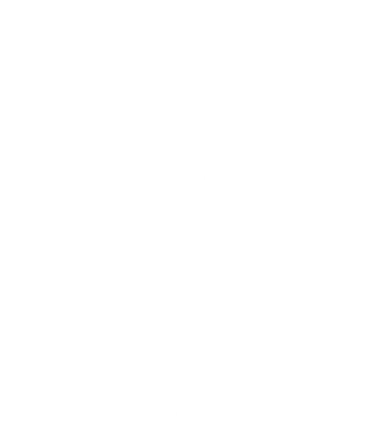 Fighter of the Destiny logo