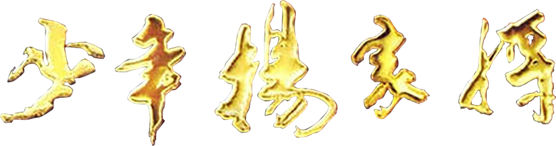 少年杨家将 logo