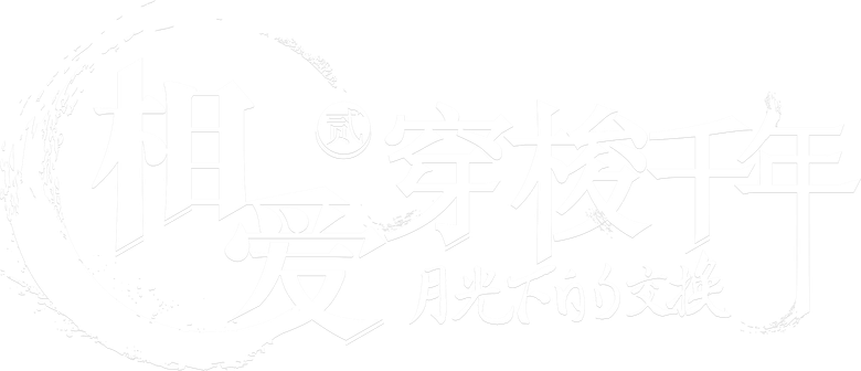 相爱穿梭千年2：月光下的交换 logo