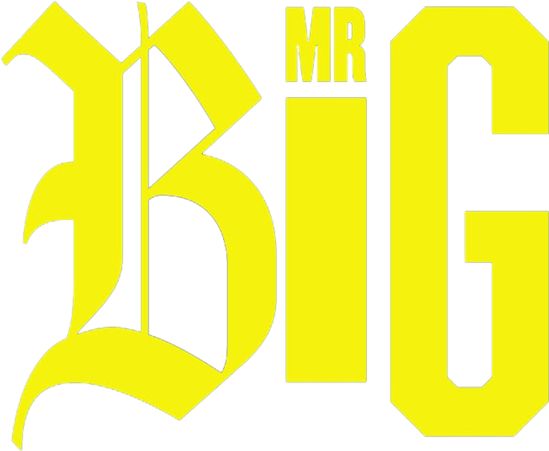 Mr Big logo