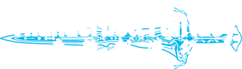 Thunderbolt Fantasy logo