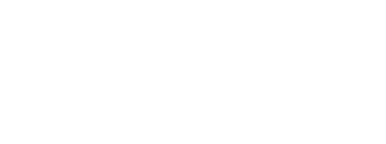 Dumb: The Story of Big Brother Magazine logo