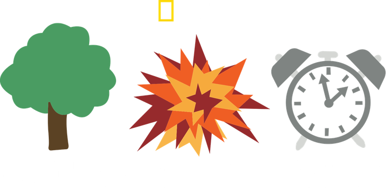 Nature Boom Time