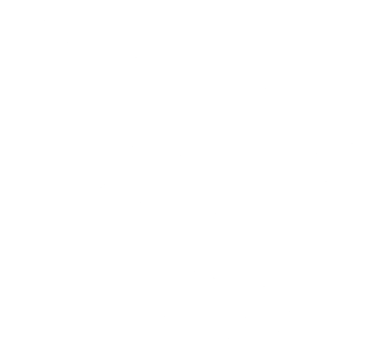 Wir logo