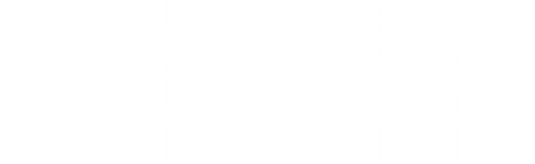 Palmer logo