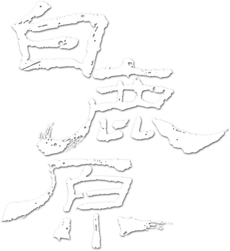 White Deer Plain logo