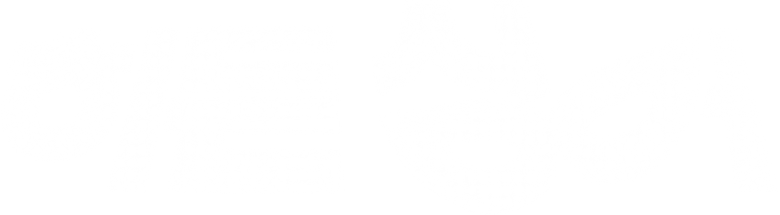 히든싱어 logo