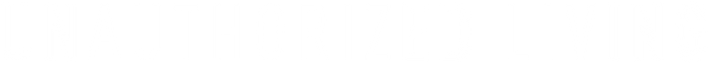 Vivere senza permesso logo