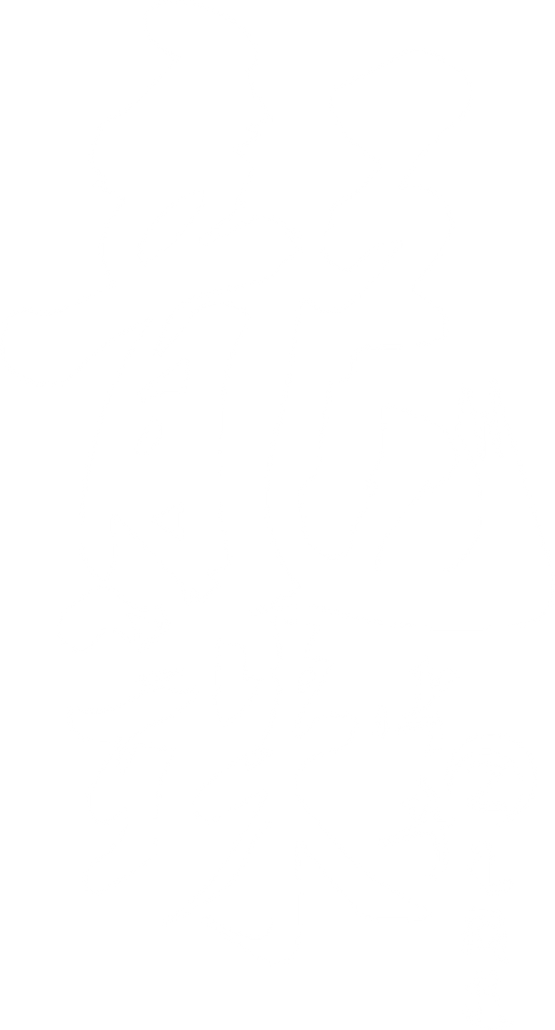 龙珠传奇之无间道 logo