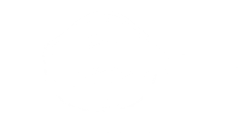 Demain nous appartient logo