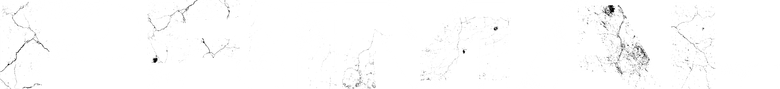 Primal - Die Jagd ist eröffnet logo
