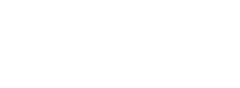 Mysteries of the Missing logo