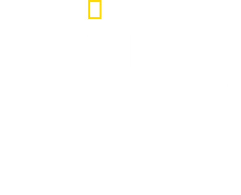 Das Reich: Hitler's Death Squads