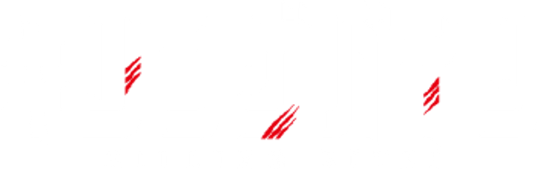 Killing Bites logo