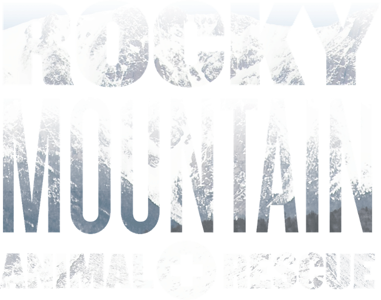 Rocky Mountain Animal Rescue