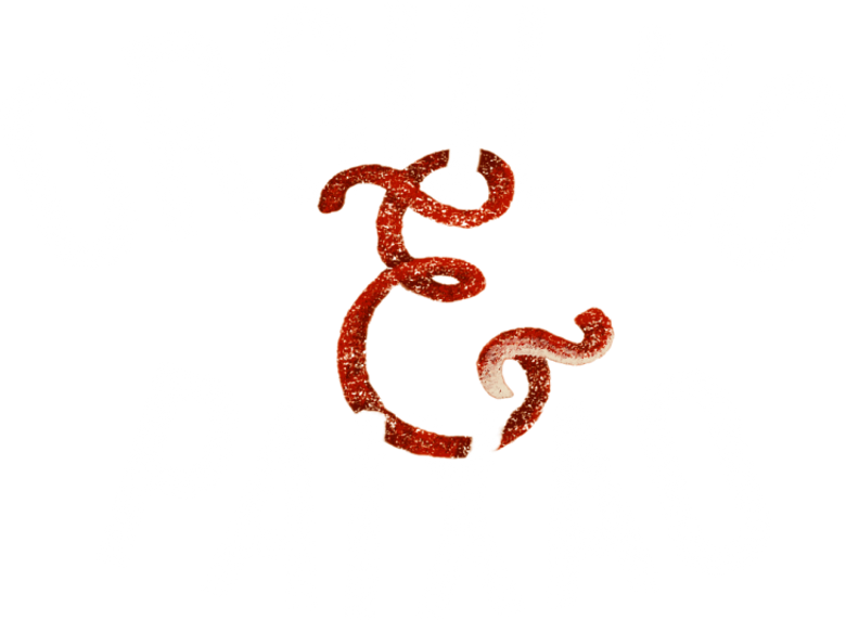 Orgulho e Paixão logo