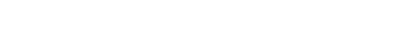 Who Is America? logo