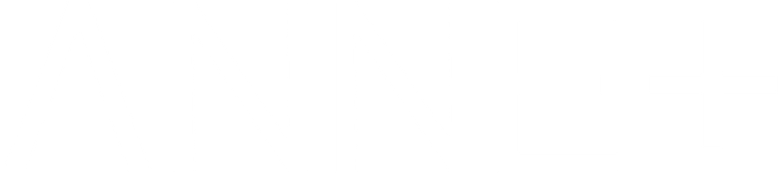 ANNE+ logo