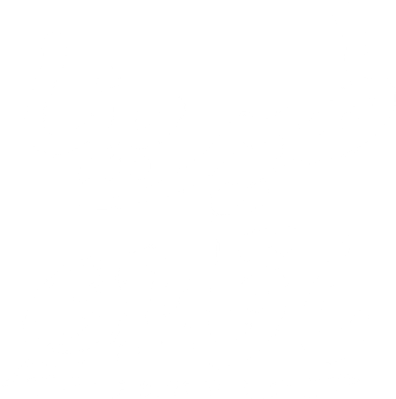 طير بينا يا قلبى logo