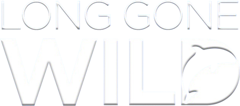 Long Gone Wild